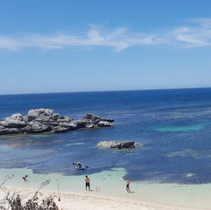 Meet your Posher, Ella